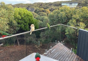 Timbara Beach House I Ocean Views