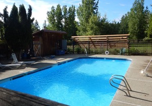 Timber Wolf Studio: Small Studio at Wolfridge Resort