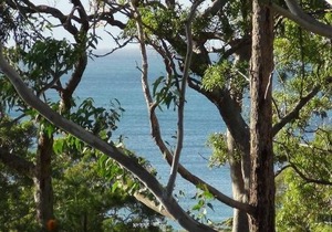 Tranquillity Beach House