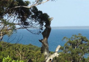 Tranquillity Beach House