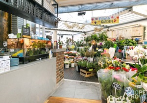 Treetops on Raglan, Steps to Mosman Village