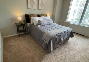 Trendy and Adaptable Accommodation in Crystal City