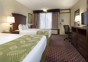 Ultimate Disney Adventure! 2 Amazing Units, Pool, Universal Studios Orlando