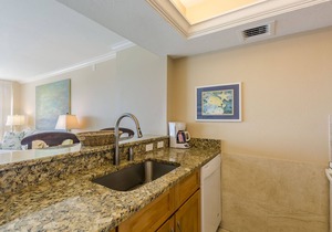 Unit 118- 1 Bedroom and 1 Bathroom Condominium with Partial South Views