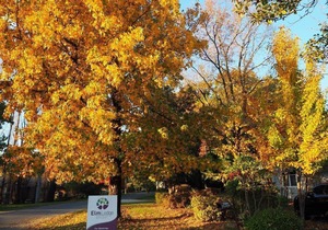 Unit 5 - One Bedroom Spa - HomeAway