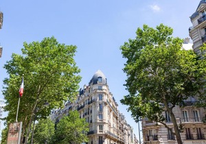 Veeve - Opulent Blues in Batignolles