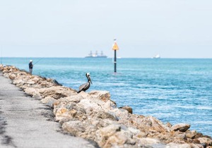 Venice Harbor 606 2 Bedrooms WiFi Sleeps 4 Pet Friendly