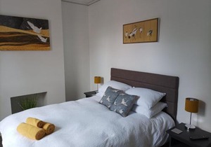 Victorian Renovation Room 1