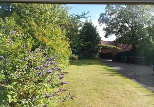 Victorian Renovation Room 1