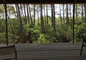 Villa between pool and ocean - Le Canon (Cap Ferret)