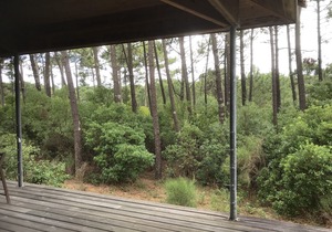 Villa between pool and ocean - Le Canon (Cap Ferret)