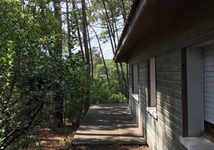 Villa between pool and ocean - Le Canon (Cap Ferret)