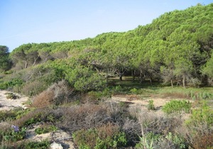 Villa Cavalaire-sur-Mer, 6 bedrooms, 12 persons