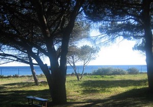 Villa Cavalaire-sur-Mer, 3 pièces, 7 personnes - FR-1-100-201