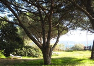 Villa Cavalaire-sur-Mer, 3 pièces, 7 personnes - FR-1-100-201