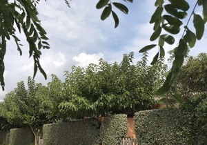 Villa Très Calme à 300 m de la Plage et du Port Avec Parking Privé