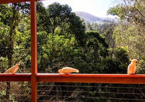 Warburton Bingarra Lodge with a View