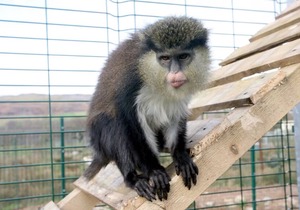 Waterfall country Apartments Falls