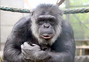 Waterfall country Apartments Falls