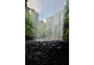 Waterfall country Apartments Falls