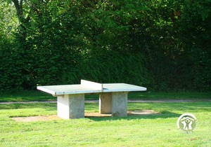 Waterside Fishing Chalet for 5-7 People with Private Dock, Terrace, and Family Activities