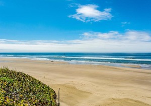 Whalers Rest Cottage 2