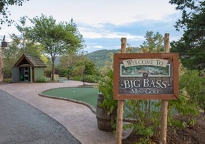 Wilderness Club™ at Big Cedar® - Ridgedale - Studio