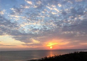 Willoughby Escape - Suite 1