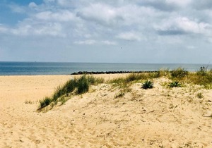 Willoughby Escape - Suite 3