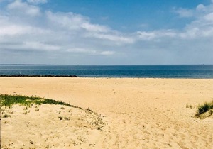 Willoughby Escape - Suite 6