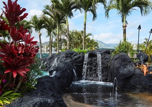 WINTER SALE, NITELY RATE 199 REDUCED 50% JAN FEB nLuxury comfortable eco-resort