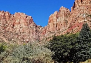 Zion's Cozy Cabin's