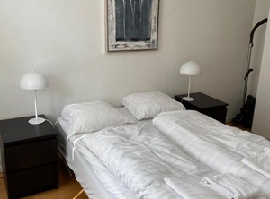 Viborggade | Osterbro