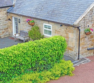 Accommodation Elsdon 