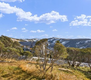 Chalet Hotham 