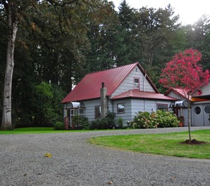 Christmas Tree Farm Oregon State University 