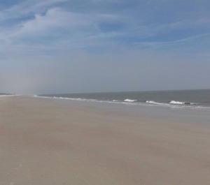 Fiddlers Hilton Head 