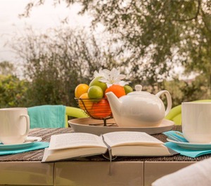 Le Chant Des Oiseaux 