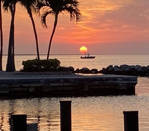 Futura Yacht Club Islamorada 