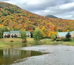 Forest Ridge Lincoln 