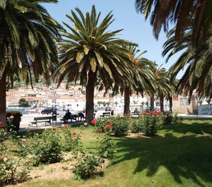 Surjan 