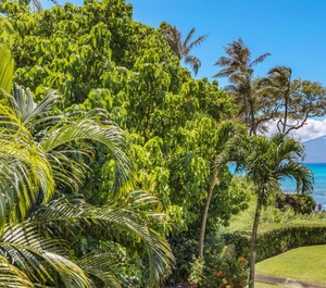 Aloha Napili Bay Resort Beach 