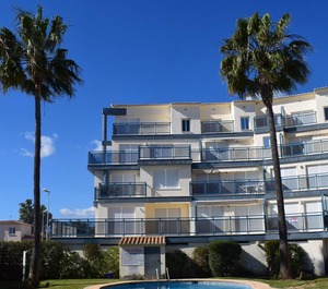 Green Beach Oliva 