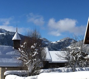 Vieille Bergerie La Clusaz 