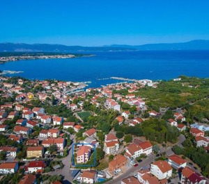 Vera 