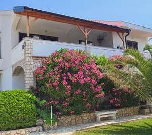 Apartments Ivo 