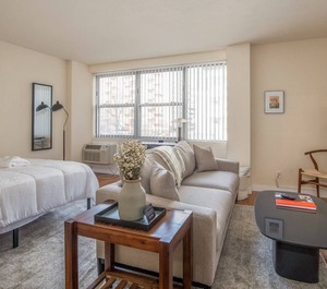 Arch Dome Dtown Rooftop Zencity 