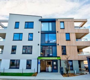 The Base Of Coronet Peak 