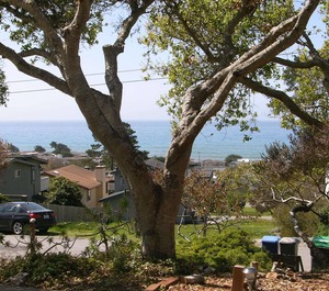 Cambria 