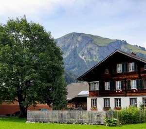 Bühlerhof 